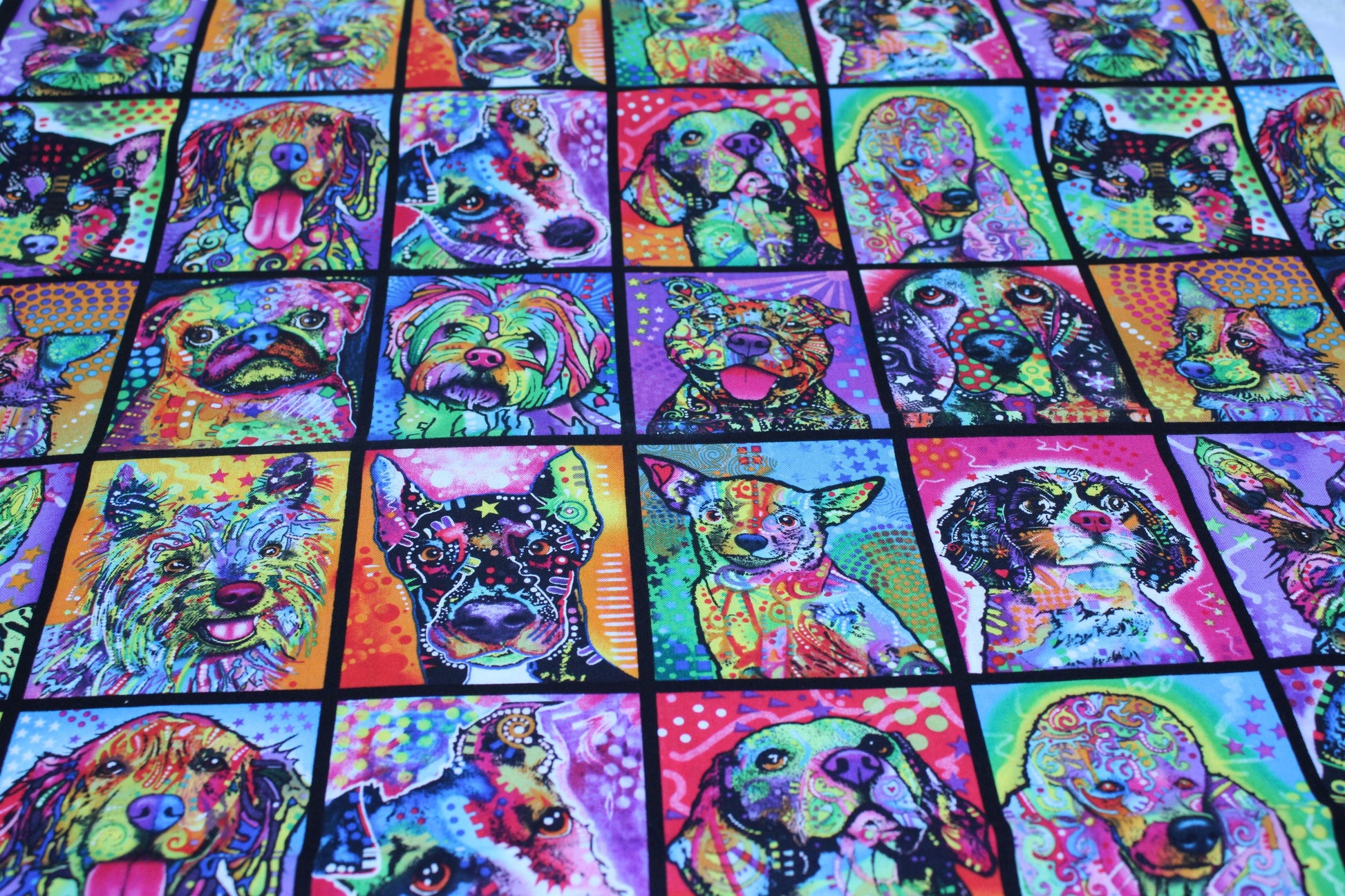 multicoloured, technicoloured dog portraits